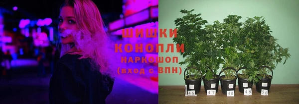 спайс Елабуга