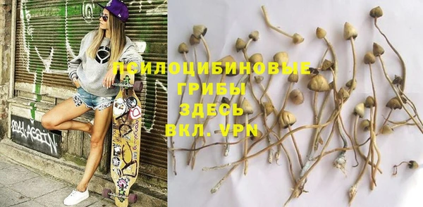 кокс Ельня