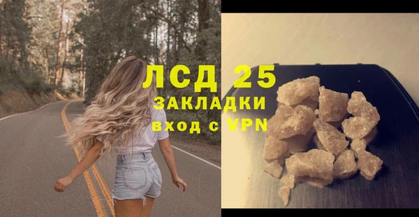 ПСИЛОЦИБИНОВЫЕ ГРИБЫ Щигры