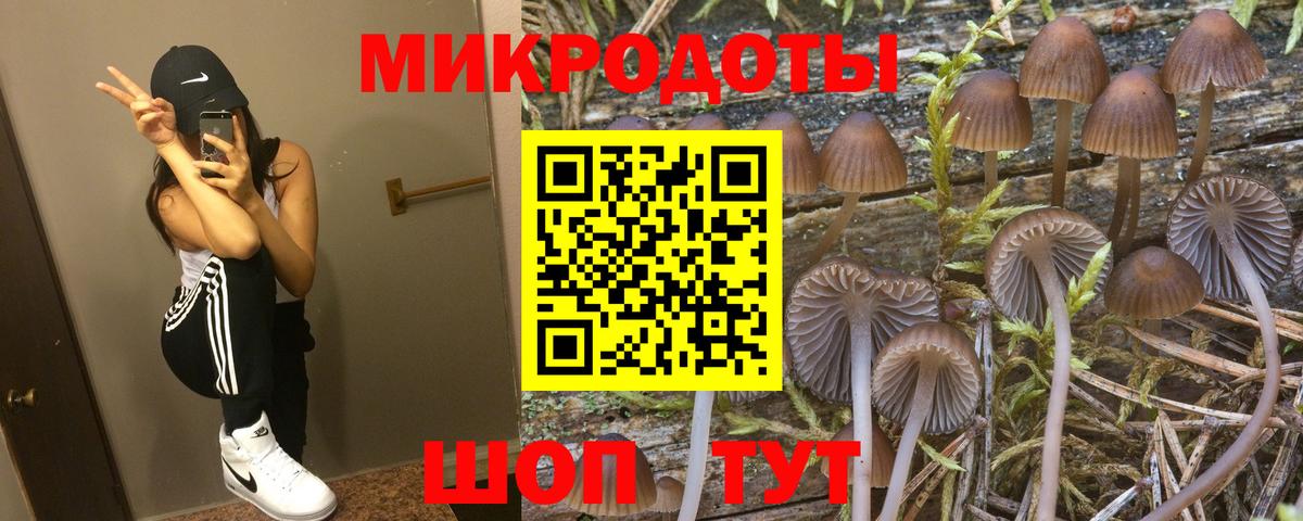Псилоцибиновые грибы ЛСД  Вход с VPN  Саянск  Псилоцибиновые грибы Psilocybine cubensis 